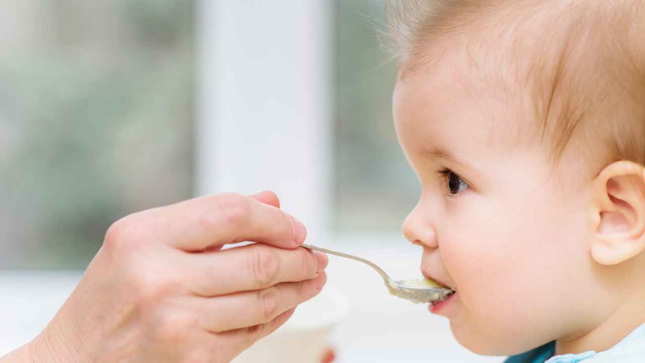 10 Healthy BabyWeight Gain Foods A Parent’s Guide